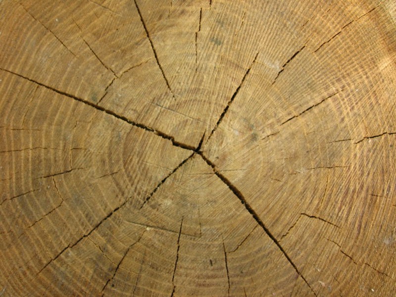 Najtwardsze rodzaje drewna